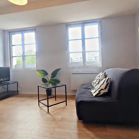 Hyper Centre Ville-cosy Lumineux-cauchoise Apartment *
